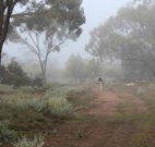Heritage Park Bathurst - Great Ocean Road Tourism