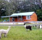 Moorallie Cottage Farm Stay - Great Ocean Road Tourism