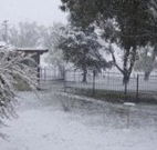 Tirrintippin - Great Ocean Road Tourism