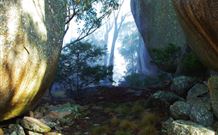 Anketell Forest Cottages - Great Ocean Road Tourism 4