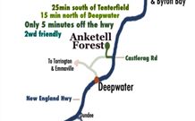 Anketell Forest Cottages - Great Ocean Road Tourism 6