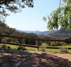 Cedar Grove - - Great Ocean Road Tourism