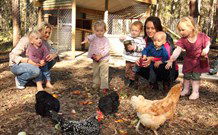 Chiltern Lodge Country Retreat - Great Ocean Road Tourism 1