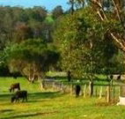 Giba Gunyah Country Cottages - Great Ocean Road Tourism