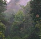 Havans Ecotourist Retreat - - Great Ocean Road Tourism