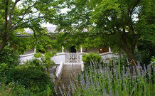 Lavender Majestic - Great Ocean Road Tourism 2