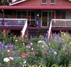 Rose Patch Bed and Breakfast - Great Ocean Road Tourism