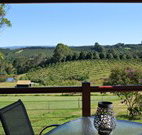 The Shed B and B - Great Ocean Road Tourism