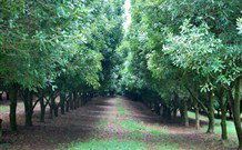 The Shed B And B - Great Ocean Road Tourism 3