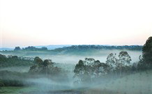 The Shed B And B - Great Ocean Road Tourism 2