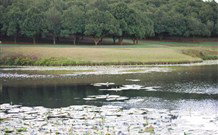 The Shed B And B - Great Ocean Road Tourism 5