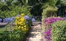 Wamberal Cottage - Great Ocean Road Tourism 7