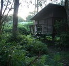 Mount Seaview Resort - Great Ocean Road Tourism