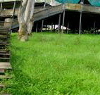 Snowy Valley Resort - Great Ocean Road Tourism
