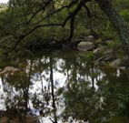 In Essentia Healing Hut of Kangaroo Valley - Great Ocean Road Tourism