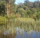 Fosterton Lodge Retreat - Great Ocean Road Tourism