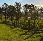 Hidden Treasure - Great Ocean Road Tourism