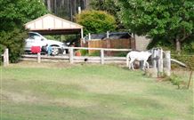 Kookaburra Cottage Pooncarie - Great Ocean Road Tourism 4