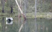 Kookaburra Cottage Pooncarie - Great Ocean Road Tourism 6