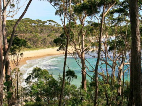 Allawah Cabins - Great Ocean Road Tourism 1