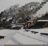 Habitat Chalet - Great Ocean Road Tourism