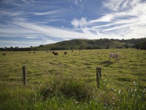 Goolmangar NSW Great Ocean Road Tourism