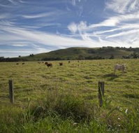 Annas Retreat - Great Ocean Road Tourism