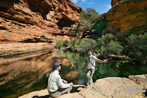 Kings Canyon Holiday Park - Great Ocean Road Tourism 8