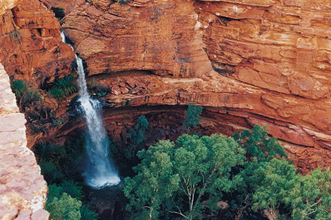 Kings Canyon Holiday Park - Great Ocean Road Tourism 9
