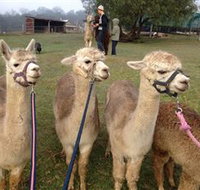 Bunyip Springs Farmstay - Great Ocean Road Tourism