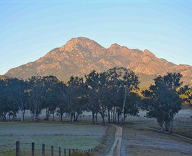 Barney Creek Vineyard Cottages - Great Ocean Road Tourism 3