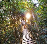 O'Reilly's Rainforest Retreat - Great Ocean Road Tourism
