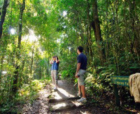 O'Reilly's Rainforest Retreat - Great Ocean Road Tourism 2