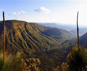 O'Reilly's Rainforest Retreat - Great Ocean Road Tourism 3