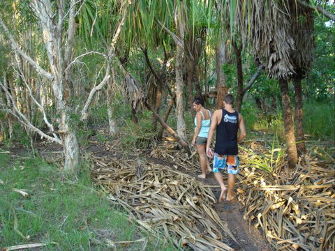 Berry Creek Bush Retreat - Great Ocean Road Tourism 7