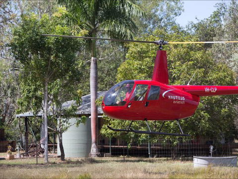 Berry Creek Bush Retreat - Great Ocean Road Tourism 8