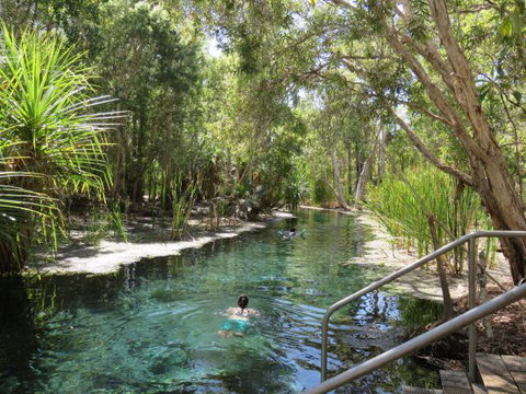 Bitter Springs Cabins And Camping - Great Ocean Road Tourism 6
