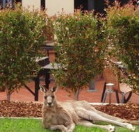 Alpha Canberra Hotel and Apartments - Great Ocean Road Tourism