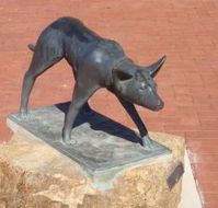 The Ardlethan Kelpie Caravan Park - Great Ocean Road Tourism