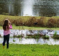 Wilga Hotel - Great Ocean Road Tourism