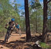 Back Yamma State Forest - Great Ocean Road Tourism