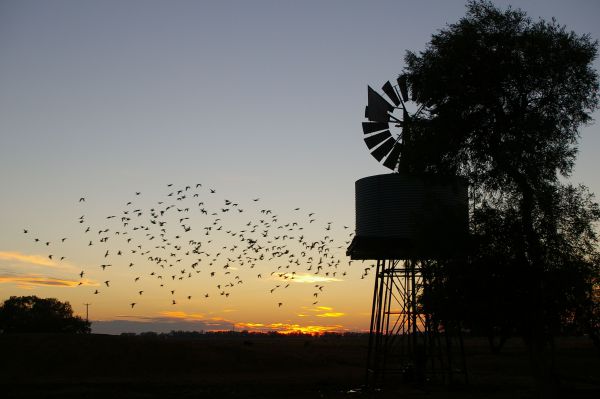Tooraweenah NSW Great Ocean Road Tourism