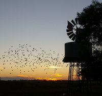 Nevertire Hotel - Great Ocean Road Tourism