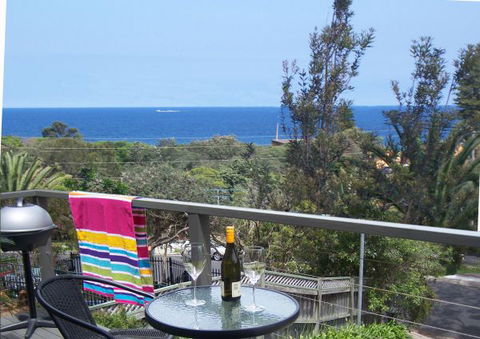 Avalon Seashells - Great Ocean Road Tourism 0