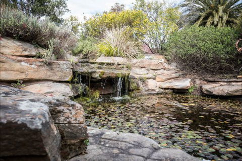 River Shack Rentals - Living The Dream - Great Ocean Road Tourism 35