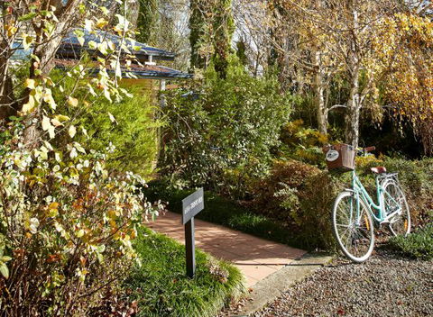 Pizzini's Vineyard Guesthouse - Great Ocean Road Tourism 5