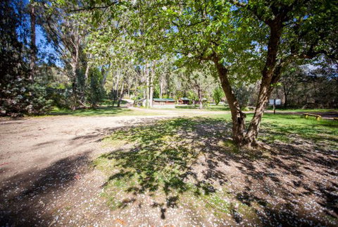 Beechworth Holiday Park - Great Ocean Road Tourism 3