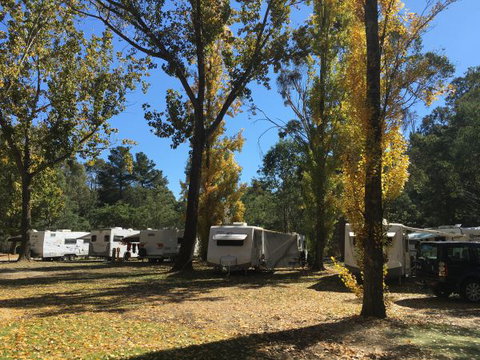 Beechworth Holiday Park - Great Ocean Road Tourism 5