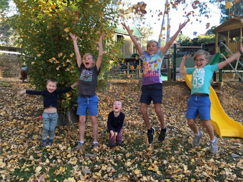 Beechworth Holiday Park - Great Ocean Road Tourism 8
