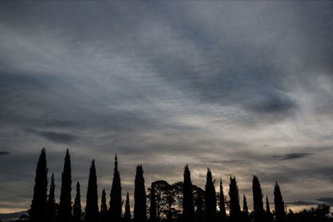 Piermont - Great Ocean Road Tourism 1